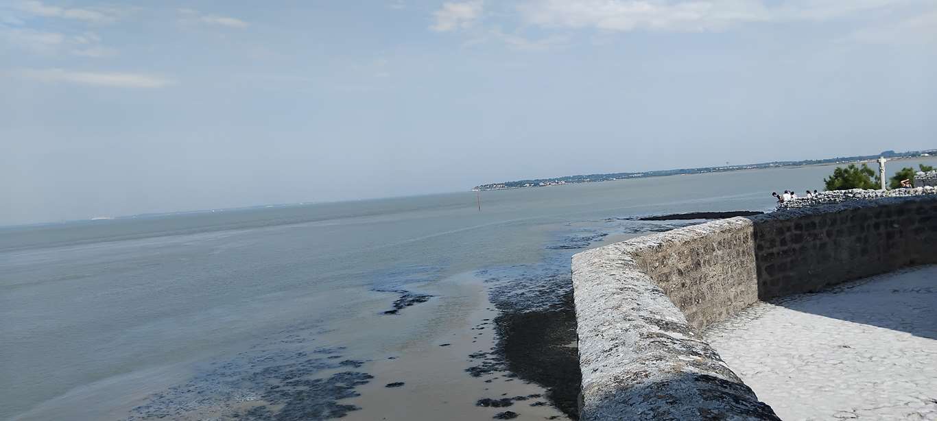 Illustration section