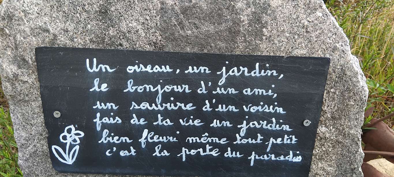 Illustration section