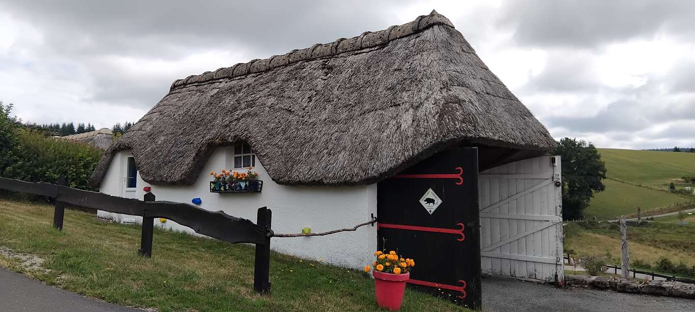 Illustration section