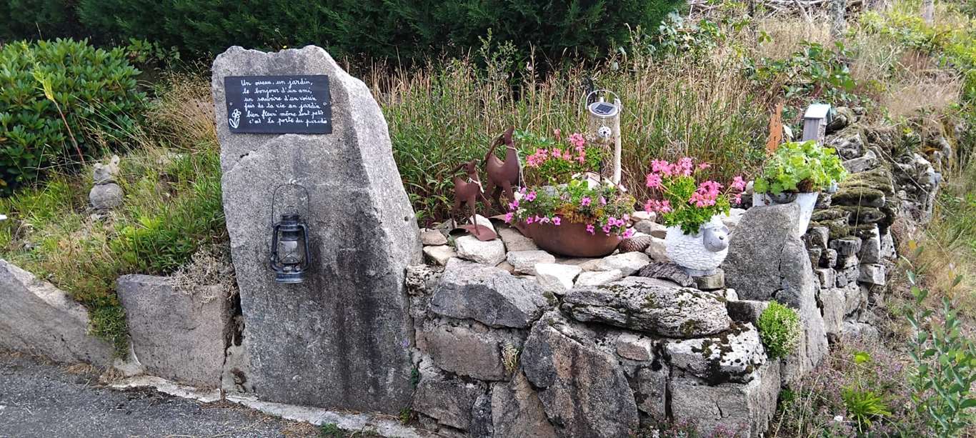 Illustration section