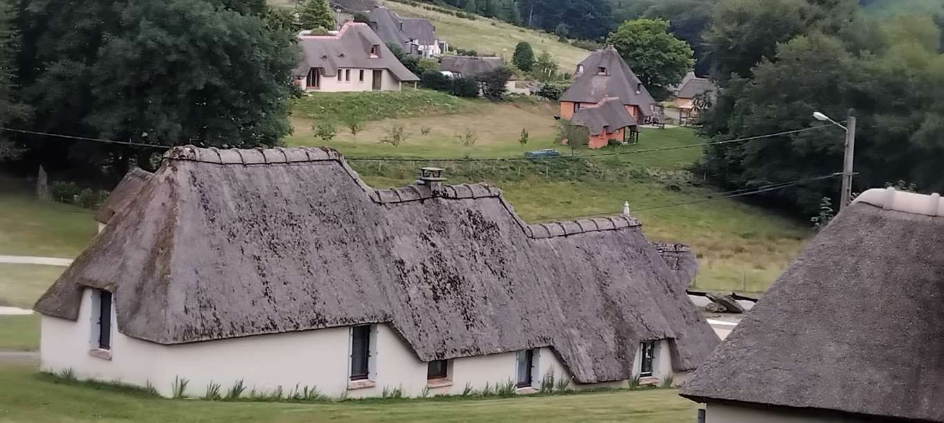 Illustration section