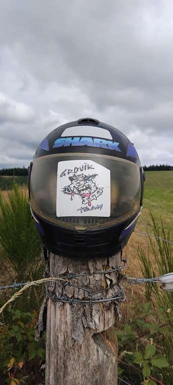 Illustration section