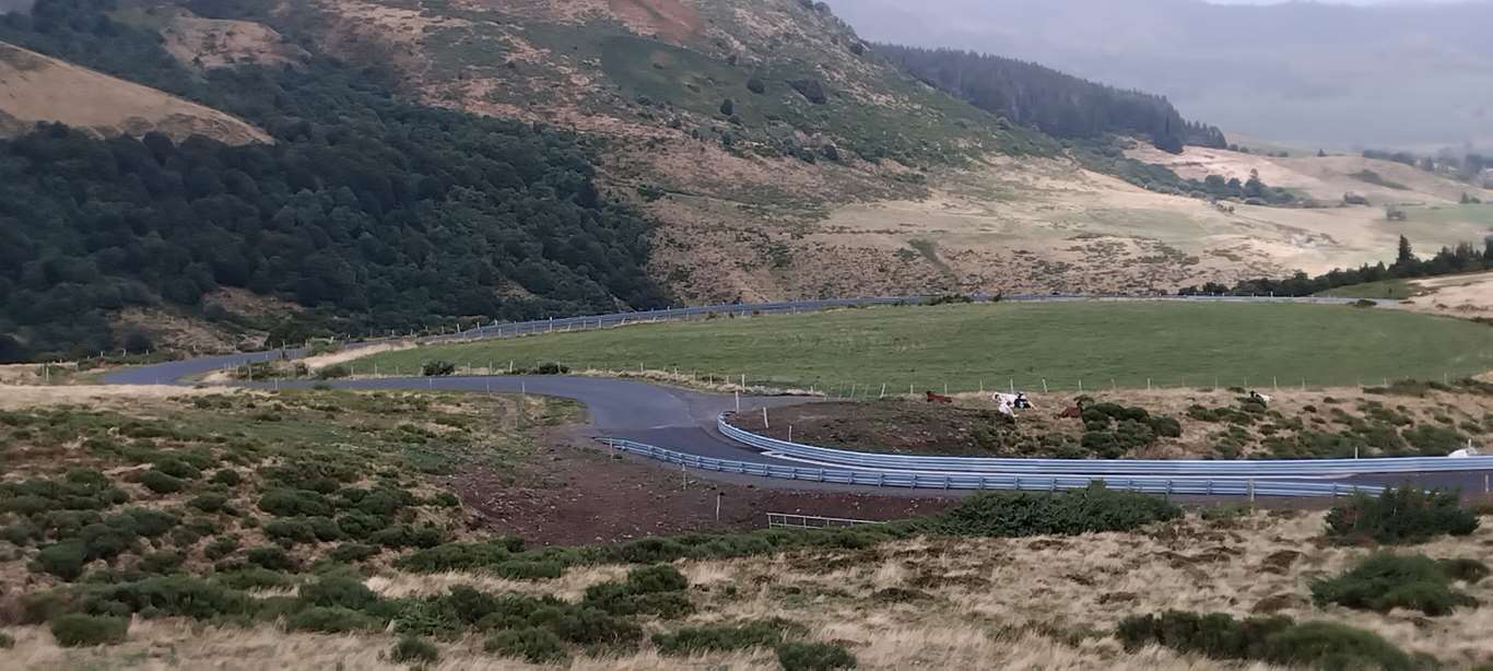 Illustration section