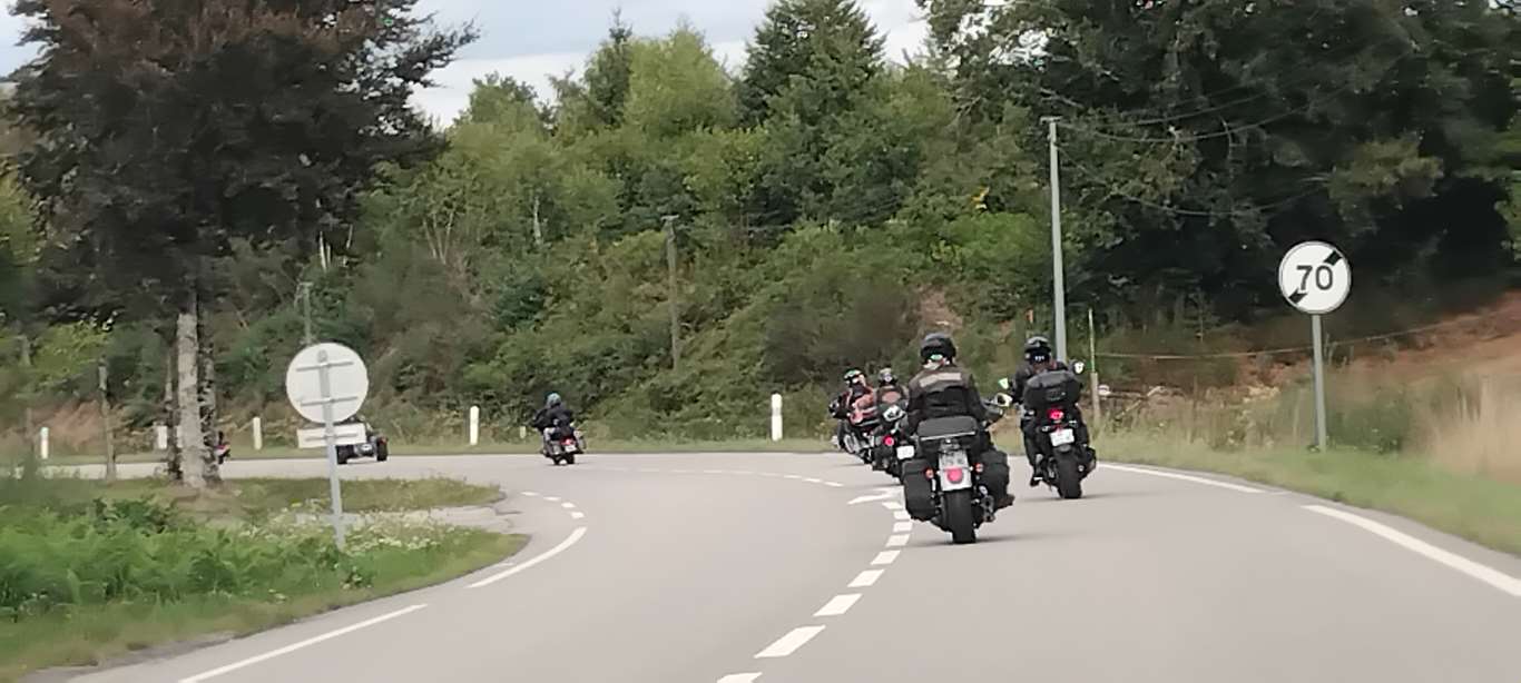 Illustration section